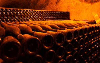 Frankreich – Sehnsucht & Lust in der Champagne