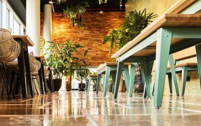 News: Deutschland, Restaurant Picnic in Hamburg
